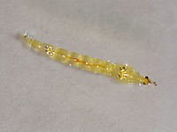 Phantom Midge Larva - Chaoborus sp. Larvae have pairs of air sacs on their thorax and abdomen.<br />
<br />
Habitat: Collected in a pond and photographed at home<br />
https://www.jungledragon.com/image/95920/phantom_midge_larva_-_chaoborus_sp.html<br />
https://www.jungledragon.com/image/95922/phantom_midge_larva_-_chaoborus_sp.html Geotagged,Spring,United States