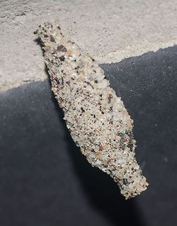 cf. Phereoeca uterella - Household Casebearer Moth / Plaster Bagworm / Traça-de-Parede (Walsingham, 1897) Lepidoptera: Ditrysia: Tineoidea: Tineidae: Tineinae: Tineini (?)

Date: 23th of March, 2018 at 10:10:54pm.
Location: Brazil, Ceará, Fortaleza (Lat: -3.75, Long: -38.51, 16th floor)

Full post here: https://www.jungledragon.com/image/61851/phereoeca_uterella_-_household_casebearer_moth_plaster_bagworm_traa-de-parede_walsingham_1897.html

This is the case of a possible Phereoeca uterella. This is not the same individual as the full post's individual above. Possibly within Tineinae based on the sandy substract the case is made of. This individual is not the same as all other individuals in the other pictures. All the Tineids I've ever seen eclose from these cases in my home were Phereoeca uterella. The sandy substract that constitutes the casing is a trait seen in Tineinae and probably other subfamilies. However, Phereoeca uterella seems to be super common and is the only moth I've ever seen coming out of these cases in my home. So, this is probably a Phereoeca uterella in the pre-pupa stage or pupa stage, a member of the order Lepidoptera, subdivision Ditrysia, superorder Tineoidea, family Tineidae, subfamily Tineinae and, doubtfully, according to Insectoid (source in the full post), tribe Tineini. Arthropoda,Brazil,Fortaleza,Geotagged,Insecta,Insects,Lepidoptera,Mariposas do Brasil,Phereoeca,Phereoeca uterella,Pre-pupae,Tineidae,Tineinae,Tineini,Tineoidea,biologia,biology,brasil,ceara,entomologia