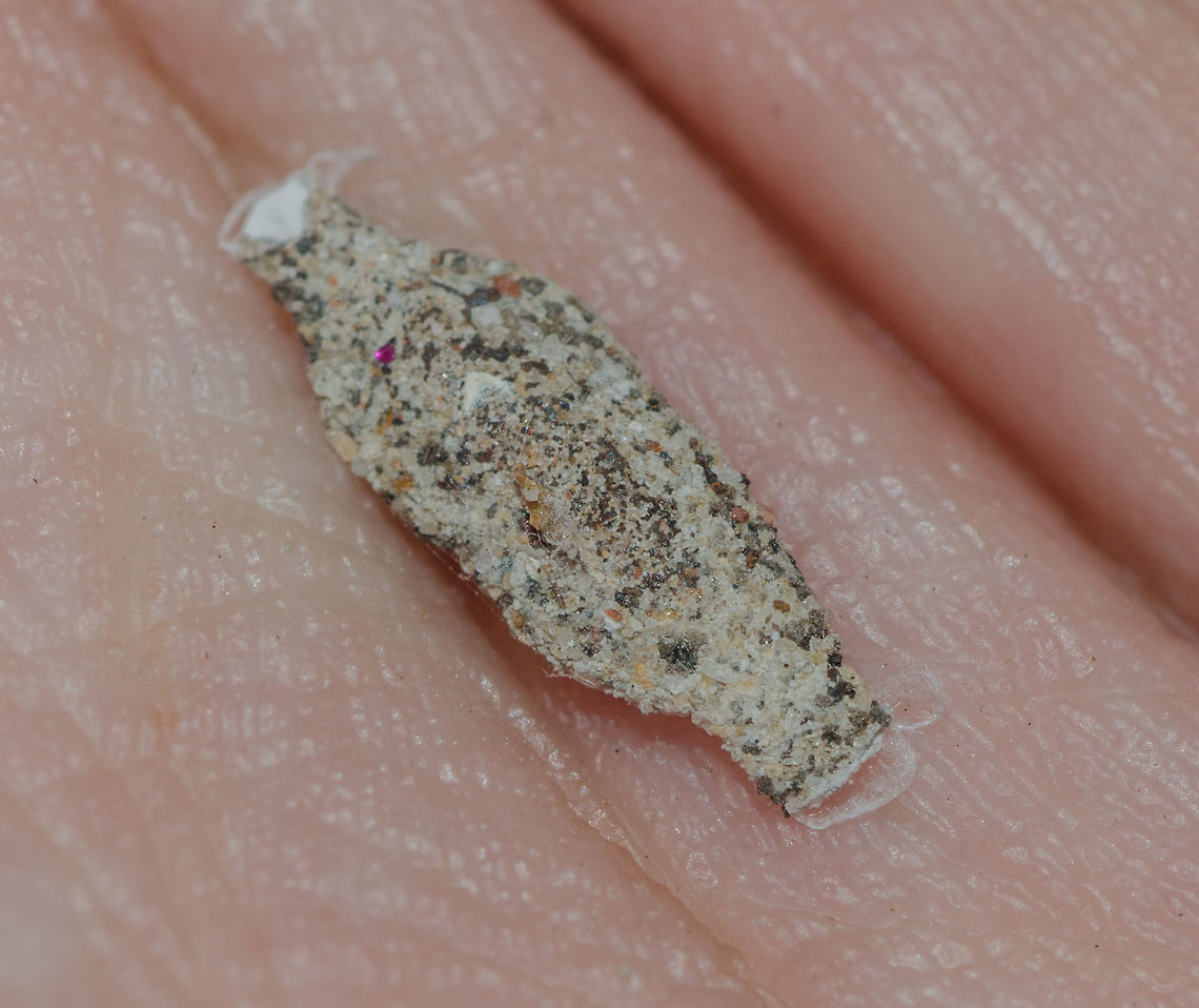 Phereoeca uterella - Household Casebearer Moth / Plaster Bagworm / Traça-de-Parede (Walsingham, 1897) Lepidoptera: Ditrysia: Tineoidea: Tineidae: Tineinae: Tineini (?)<br />
<br />
Date: 5th of June, 2018 at 03:33:56pm.<br />
Location: Brazil, Cear&aacute;, Fortaleza (Lat: -3.75, Long: -38.51, 16th floor)<br />
<br />
Full post here: <figure class="photo"><a href="https://www.jungledragon.com/image/61851/phereoeca_uterella_-_household_casebearer_moth_plaster_bagworm_traa-de-parede_walsingham_1897.html" title="Phereoeca uterella - Household Casebearer Moth / Plaster Bagworm / Tra&ccedil;a-de-Parede (Walsingham, 1897)"><img src="https://s3.amazonaws.com/media.jungledragon.com/images/3305/61851_thumb.jpg?AWSAccessKeyId=05GMT0V3GWVNE7GGM1R2&Expires=1767225610&Signature=WQOj3d8OJLkHV0pNW7MjzpUvSBQ%3D" width="134" height="152" alt="Phereoeca uterella - Household Casebearer Moth / Plaster Bagworm / Tra&ccedil;a-de-Parede (Walsingham, 1897) Lepidoptera: Ditrysia: Tineoidea: Tineidae: Tineinae: Tineini (?)<br />
<br />
Pupa stage of this same individual (the pupa is inside the case): https://www.jungledragon.com/image/61854/phereoeca_uterella_-_household_casebearer_moth_plaster_bagworm_traa-de-parede_walsingham_1897.html<br />
<br />
Larval stage of a possible Phereoeca uterella. This is not the same individual as the adult in this post, nor the same individual as the pupa&#039;s exuvia one below: https://www.jungledragon.com/image/61852/cf._phereoeca_uterella_-_household_casebearer_moth_larva_plaster_bagworm_traa-de-parede_walsingham_1897.html<br />
<br />
Pupa&#039;s exuvia of a possible Phereoeca uterella. Not the same individual as the adult in this post: https://www.jungledragon.com/image/61850/cf._phereoeca_uterella_pupas_exuvia_-_household_casebearer_moth_plaster_bagworm_traa-de-parede_walsingham_1897.html<br />
<br />
This is probably a Phereoeca uterella in pre-pupa or in the pupa stage. This individual is a different individual than ALL individuals portrayed in this post so far: https://www.jungledragon.com/image/61853/cf._phereoeca_uterella_-_household_casebearer_moth_plaster_bagworm_traa-de-parede_walsingham_1897.html<br />
<br />
Sex: ♂<br />
<br />
Date: 10th of June, 2018 at 12:56:05pm.<br />
Location: Brazil, Cear&aacute;, Fortaleza (Lat: -3.75, Long: -38.51, 16th floor of a flat)<br />
<br />
Phereoeca uterella is a tiny moth in the order Lepidoptera, subdivision Ditrysia, superfamily Tineoidea, family Tineidae, subfamily Tineinae and, doubtfully, according to Insectoid (http://insectoid.info/insecta/lepidoptera/tineidae/tineini/), tribe Tineini.<br />
<br />
BugGuide (https://bugguide.net/node/view/27383) mentions that males are less distinctive than females:<br />
<br />
&quot;Forewing gray with up to four spots and a brush of long, lighter gray hair-like scales along inner margin of hindwing; males are smaller, thinner, and have a less distinctive wing pattern than females.&quot;<br />
<br />
With this, I conclude my individual is a male of Phereoeca uterella. They can be found from Southern United States going South as far as Brazil.<br />
<br />
BugGuide itself mentions the habitats of these insects:<br />
<br />
&quot;Larval cases can be found on wool rugs and wool carpets, hanging on curtains, or under buildings, hanging from subflooring, joists, sills and foundations; also found on exterior of buildings in shaded places, under farm sheds, under lawn furniture, on stored farm machinery, and on tree trunks.&quot;<br />
<br />
The larvae will feed on old spider webs, hair, debris, wool and silk (including clothes, even though the damage is minimal), felt and many other materials. I do not know how much of the pupa stage&#039;s time had passed before I collected, but after the collection, the adult eclosed two days later, which means that, at the very least, the pupa was already 9 days old or more.<br />
<br />
The case is made by the larva and measures from 8 to 14mm in length and 3 to 5mm wide. To avoid death and conclude their development, they need humidity, a factor that limits their distribution in many places. Praeceodes atomosella (Tecophora) (Walker, 1863) is a related species of casebearing moths. The eggs are laid by the females on crevices and the junction of walls and floors, cementing them on debris (I believe I have a photographic register of such a case!). Up to two hundred eggs may be oviposited by a single female over a period of a week. This concludes the life-cycle of the female and she dies. The eggs are soft, pale, with a blueish coloring and about 0.4mm in diameter. They take approximately 10 days or more to hatch. The larvae undergo six or seven instars that require about 50 days to mature. The pupa stage lasts between, on average, 11 to 23 days. The whole egg-adult process takes from 62 to 86 days on average. The case is flat, fusiform or spindle-shaped. The insides are silk-lined and open at both ends. This description is taken from Aiello&#039;s (1979) description of Phereoeca allutella, a closely-related casebearing moth from Panama. However, it is on point with Phereoeca uterella as could be noted through my many observations. The case is made in the earliest instar. After each instar, the case is enlarged. This is done through the secretion of silk to build an arch that is attached at both ends of the substrate; the whole inside of the arch is lined exclusively by silk and gradually extended to form a tunnel, while the larva stays inside. The tunnel is closed beneath by the larva to form a tube free from the substrate and open at both ends. They can use a wide selection of materials to build the outside of the case such as fibers (such as hair), particles of sand, soil, iron rust, insect droppings, Arthropod remains and many other materials. During the last instars, the case is much more enlarged, which allows the larva to turn around inside and pop out at either end of the case; both ends have openings. Under threat, the larva will close the openings and remain inside; it is incredibly difficult to open the openings from outside, serving them as a great protective mechanism. Later instars of the larvae can reach 7mm in length. They have a dark brown head, while the rest of the body is white with, sometimes, the interiors visible in a red coloring. The lateral and dorsal plates on the three thoracic segments close to the head, though, are hardened and dark. According to Aiello (1979), this is most likely a protection against natural predators when the larva reaches out of the case to move around. The larvae have three pairs of well-developed, brown legs. The ventral prolegs are white and are located on the abdominal segments 3 to 6 and 10. 23 to 25 very small hooks can be found at the tip of each proleg. Anterior hooks are bigger and broader than the posterior ones by one third, potentially serving for identification. These hooks are used to move around inside the case. They are also used to grab the case when the larva pulls its head and thorax out and uses its true legs to walk on the floor or walls. The pupa stage occurs inside the case while the larva fixes it on a vertical surface with silk. One end of the case is modified for this purpose. The larva will cut a short slit along both edges to make that end flatter, acting as a valve. Before eclosing the pupa pulls itself halfway through the valve and the moth emerges around noon with the pupa&#039;s exuvia being left partially visible through the case&#039;s opening.<br />
<br />
Females have a wingspan of 7-13mm, while males have a wingspan of 7-9mm. With this said, males are smaller and thinner than females as noted in BugGuide. Their heads are uniformly clothed with dense and rough hairs. They have two pairs of palps. The maxillary ones are smaller than the labial ones, and are folded inwards. The labial palps extend a little beyond the head&#039;s dense covering of hairs. The remaining mouth parts are reduced and adults do not feed. Antennae are filiform, as long as the wings and are held back over the body. The eyes are compound and prominent. Although impossible or semi-impossible to see in live specimens, wing venations are very important for genera identification according to Hinton and Bradley, 1956. They are good fliers, and when resting will hold their wings tented over the body. They usually rest on the webs of Theridiid spiders. The wasp Apanteles carpatus (Brachonidae: Microgastrinae: Microgastrini) is known to parasitize Phereoeca uterella; I believe I even have a register of such occurrence documented in pictures! Another case of parasitism was recorded in which Lymeon orbus (Ichneumonidae) parasitized Phereoeca uterella.<br />
<br />
According to BugGuide:<br />
<br />
SYNONYMS AND OTHER TAXONOMIC CHANGES:<br />
<br />
Phereoeca uterella (Walsingham, 1897)<br />
Tineola uterella (Walsingham, 1897)<br />
Tinea pachyspila (Meyrick, 1905)<br />
Tineola oblitescens (Meyrick, 1924)<br />
Tinea barysticta (Meyrick, 1927)<br />
Tinea dubitatrix (Meyrick, 1932)<br />
Tineola walsinghami (Busck, 1934)<br />
Phereoeca postulata (Gozm&aacute;ny, 1967)<br />
<br />
They possess a phylogenetic sequence #300141 and a Hodges Number of 0390. They are also known as &quot;plaster bagworms&quot;.<br />
<br />
Sources:<br />
<br />
https://bugguide.net/node/view/27383<br />
<br />
http://entnemdept.ufl.edu/creatures/urban/occas/household_casebearer.htm<br />
<br />
Article on Insetologia with Cesar&#039;s identification and research help:<br />
https://www.insetologia.com.br/2018/05/traca-de-parede-no-ceara.html<br />
<br />
https://cse.google.com.br/cse?cx=partner-pub-8381206080452448:4319375909&amp;ie=UTF-8&amp;q=Phereoeca+uterella<br />
<br />
https://cse.google.com.br/cse?cx=partner-pub-8381206080452448:4319375909&amp;ie=UTF-8&amp;q=Tineidae Arthropoda,Brazil,Fortaleza,Geotagged,Insecta,Insects,Lepidoptera,Mariposas do Brasil,Phereoeca,Phereoeca uterella,Tineidae,Tineinae,Tineini,Tineoidea,biologia,biology,brasil,brazilian moths,ceara,entomologia" /></a></figure><br />
<br />
This is the same individual as the one in the full post, still in the pupa stage. The pupa is inside the case. Arthropoda,Brazil,Fortaleza,Geotagged,Insecta,Insects,Lepidoptera,Mariposas do Brasil,Phereoeca,Phereoeca uterella,Pupae,Tineidae,Tineinae,Tineini,Tineoidea,biologia,biology,brasil,ceara,entomologia