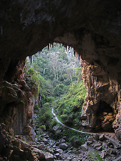 The Devil's coach house Sequestered deep in the mountains, isolated from major roads and townships, there is profound mystery, history and culture to the whole Jenolan area and I love to visit when I can. 

The famous caves and associated land cover 3,000 hectares situated in the Central Tablelands region, west of the Blue Mountains here in New South Wales. 

At 340 million years old, the caves are the most ancient discovered open caves in the world. The word Jenolan is believed to be an indigenous word for 'high place', derived from the Tharawal word, Genowlan. Jenolan Caves are within the lands of the Burra Burra people, a clan group of the Gundugurra Nation and this is a sacred space for First Nation communities. 

The Devil's coach house is a dynamic and dramatic space which can be seen when walking one of the many tracks in the area. 
 Australia,Central Tablelands,Geology,Geotagged,Jenolan Caves,Spring,The Devil's coach house,new south wales,rock formations,scenery