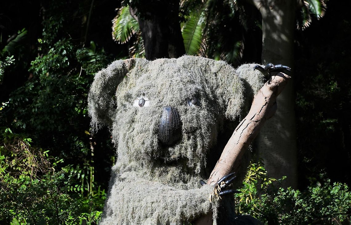 Spanish moss eco sculpture 2.5 m tall eco sculpture seen at The Royal Botanic Gardens in Sydney. Over time, staff change the plants and I&#039;ve seen both this Tillandsia usneoides and also Dichondra argentea &#039;Silver Falls&#039; used.<br />
<br />
Spanish moss is an epiphytic flowering plant that often grows on trees in tropical climates. Native to much of Mexico, Bermuda, the Bahamas, Central America, South America, the Southern United States and the West Indies. It has been naturalized here in Australia in Queensland.  Australia,Bromeliaceae,Flora,Geotagged,Poales,Spanish moss,Tillandsia usneoides,Winter,botany,eco sculpture,mosaiculture,new south wales.