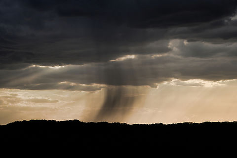 Precipitation shaft I don't think I've posted this before. 

From out of the storm clouds came an intriguing weather phenomenon. 

These walls of rain can be seen from a great distance. They are vertical columns of heavy rain that are confined to a relatively small area, sometimes causing local flooding. 

 Australia,Geotagged,Natural events,Spring,Storm,Weather,meteorology,new south wales,precipitation shaft,rain,rain shaft,weather phenomenon