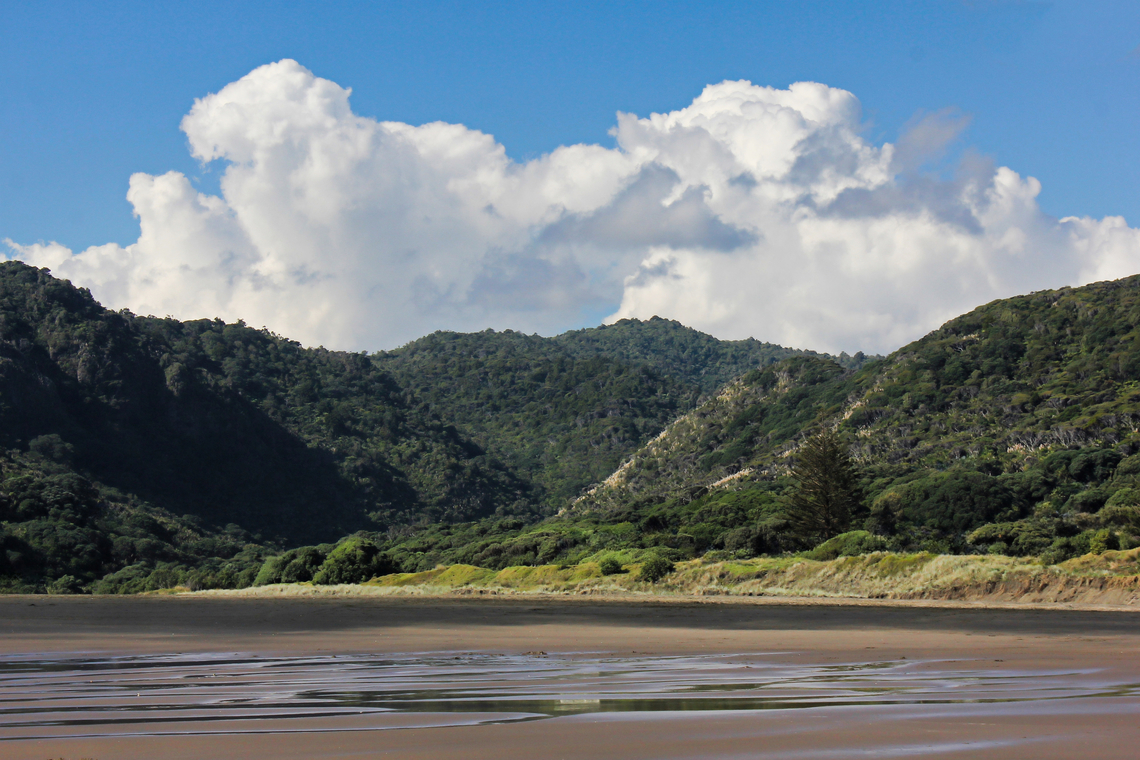 Piha black sand beach and Waitākere Ranges Piha is a coastal settlement on the western coast of New Zealand&#039;s north island. It is 39 km west of Auckland. <br />
<br />
It was amazing to see the black sand. I learned that it is primarily a black ironsand composed of titanomagnetite, a mixture of titanium and iron oxides from the erosion of volcanic rock. <br />
<br />
This black sand is rich in heavy minerals like magnetite, ilmenite, and hematite. It is carried from volcanic sources like the Taupo Volcanic Zone or Mount Taranaki by rivers and coastal currents, creating the distinctive dark colour.   <br />
<br />
It was fun to see a handful of sand attach to a magnet our friend had brought along especially to show us. <br />
<br />
The mountains in this picture are part of the Waitakere Ranges. Fall,Geotagged,New Zealand,New Zealand scenery,Piha beach,Waitākere Ranges,autumn,black sand beach,volcanic beach