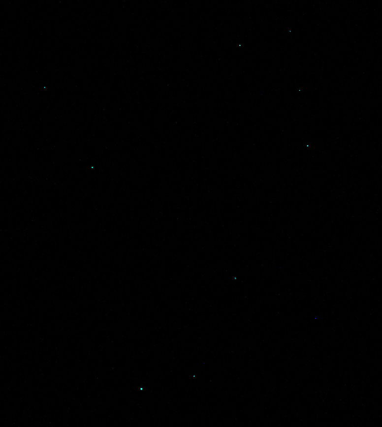 3/3 New Zealand glow worm bioluminescence Image 3 of 3...<br />
60 metres below ground surface in Ruakuri Cave, part of the Waitomo caves system on the north island of New Zealand. <br />
Seen here is New Zealand glow worm larva exhibiting bioluminescence. It was just amazing to see the visual effect of this phenomenon, deep within the caves. <br />
Flash photography was not allowed and capturing any image of these intriguing life forms in almost complete darkness was a challenge - I hope these images are of sufficient quality for others to enjoy.  Arachnocampa luminosa,Diptera,Geotagged,Keroplatidae,Macro,New Zealand,autumn,bioluminescence,fungus gnat larvae,insect