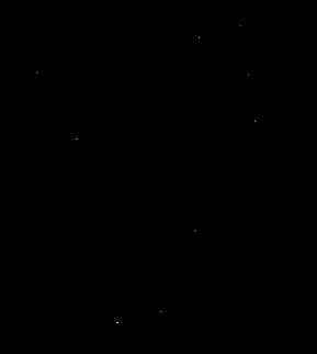 3/3 New Zealand glow worm bioluminescence Image 3 of 3...
60 metres below ground surface in Ruakuri Cave, part of the Waitomo caves system on the north island of New Zealand. 
Seen here is New Zealand glow worm larva exhibiting bioluminescence. It was just amazing to see the visual effect of this phenomenon, deep within the caves. 
Flash photography was not allowed and capturing any image of these intriguing life forms in almost complete darkness was a challenge - I hope these images are of sufficient quality for others to enjoy.  Arachnocampa luminosa,Diptera,Geotagged,Keroplatidae,Macro,New Zealand,autumn,bioluminescence,fungus gnat larvae,insect