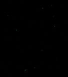 3/3 New Zealand glow worm bioluminescence Image 3 of 3...<br />
60 metres below ground surface in Ruakuri Cave, part of the Waitomo caves system on the north island of New Zealand. <br />
Seen here is New Zealand glow worm larva exhibiting bioluminescence. It was just amazing to see the visual effect of this phenomenon, deep within the caves. <br />
Flash photography was not allowed and capturing any image of these intriguing life forms in almost complete darkness was a challenge - I hope these images are of sufficient quality for others to enjoy.  Arachnocampa luminosa,Diptera,Geotagged,Keroplatidae,Macro,New Zealand,autumn,bioluminescence,fungus gnat larvae,insect