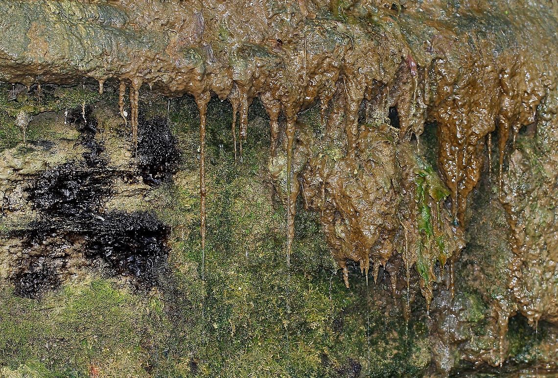 Tufa limestone Tufa is a highly porous, sedimentary rock (limestone), composed of calcium carbonate. It is formed by biological and chemical precipitation of calcite from a cold, supersaturated surface or ground waters. <br />
<br />
The metabolism of algae, bacteria and mosses is important for tufa formation due to consumption of CO2 (causing CaCO3 supersaturation). Tufa is mostly a brown colour due to impurities (mainly iron oxides). Fall,Geotagged,Moss,Rock,Tufa limestone,United States,algae,autumn,bacteria,limestone,pennsylvania,sedimentary rock