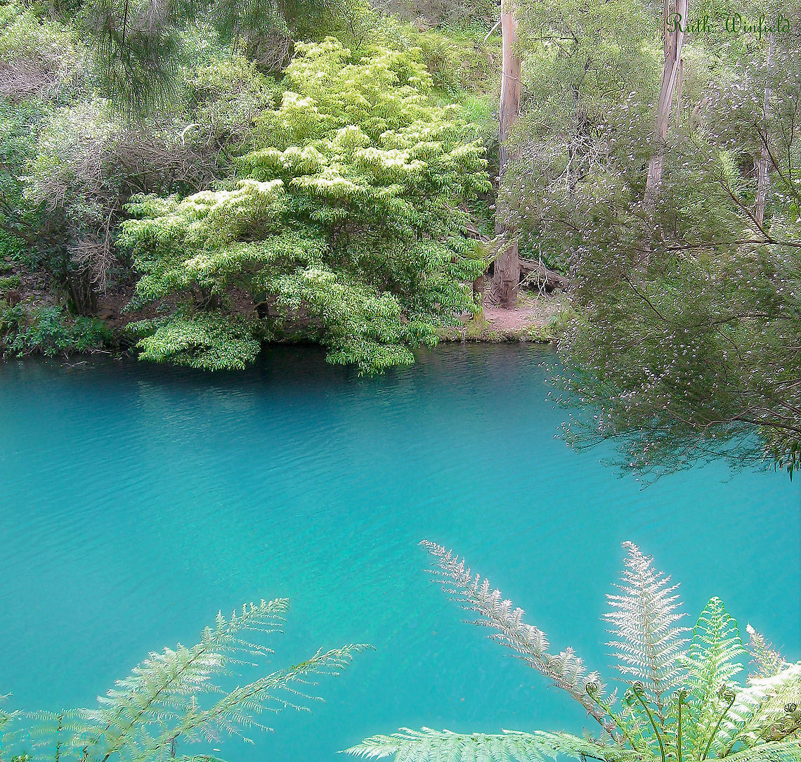 Jenolan Blue lake  Sequestered deep in the mountains, isolated from major roads and townships, there is a profound mystery to the whole Jenolan area and I love to visit there when I can.  <br />
<br />
The famous caves and associated land cover 3,000 hectares situated in the Central Tablelands region, west of the Blue Mountains here in New South Wales. <br />
<br />
At 340 million years old, the caves are the most ancient discovered open caves in the world. The word Jenolan is believed to be an indigenous word for 'high place', derived from the Tharawal word, Genowlan. <br />
<br />
The peaceful Blue Lake seen here, is fed by the River Styx and Jenolan River. The intense and most beautiful colour comes from the refraction of light through the limestone deposits, sediment and bedrock. <br />
<br />
There are duck-billed platypus within the vicinity, but I've not been lucky enough to see any during my visits. <br />
 Australia,Blue Lake,Central Tablelands,Geotagged,Jenolan,Lake,New south wales,Spring,landscape,limestone,refraction,scenery,turquoise