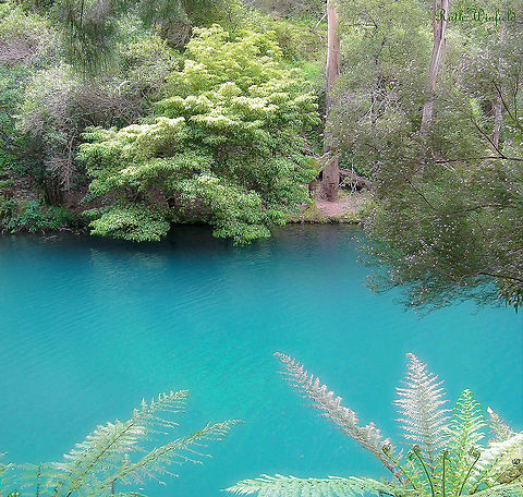 Jenolan Blue lake  Sequestered deep in the mountains, isolated from major roads and townships, there is a profound mystery to the whole Jenolan area and I love to visit there when I can.  

The famous caves and associated land cover 3,000 hectares situated in the Central Tablelands region, west of the Blue Mountains here in New South Wales. 

At 340 million years old, the caves are the most ancient discovered open caves in the world. The word Jenolan is believed to be an indigenous word for 'high place', derived from the Tharawal word, Genowlan. 

The peaceful Blue Lake seen here, is fed by the River Styx and Jenolan River. The intense and most beautiful colour comes from the refraction of light through the limestone deposits, sediment and bedrock. 

There are duck-billed platypus within the vicinity, but I've not been lucky enough to see any during my visits. 
 Australia,Blue Lake,Central Tablelands,Geotagged,Jenolan,Lake,New south wales,Spring,landscape,limestone,refraction,scenery,turquoise