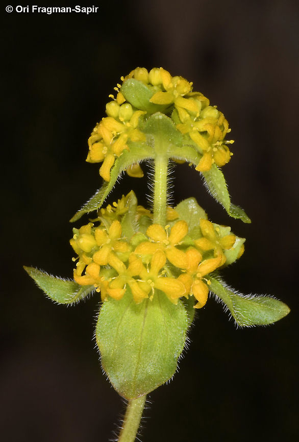 0RI_9634_resize  Geotagged,Summer