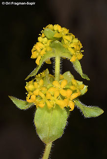 0RI_9634_resize  Geotagged,Summer