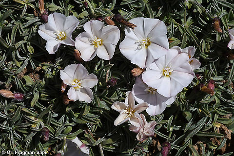 0RI_9639_resize  Geotagged,Summer