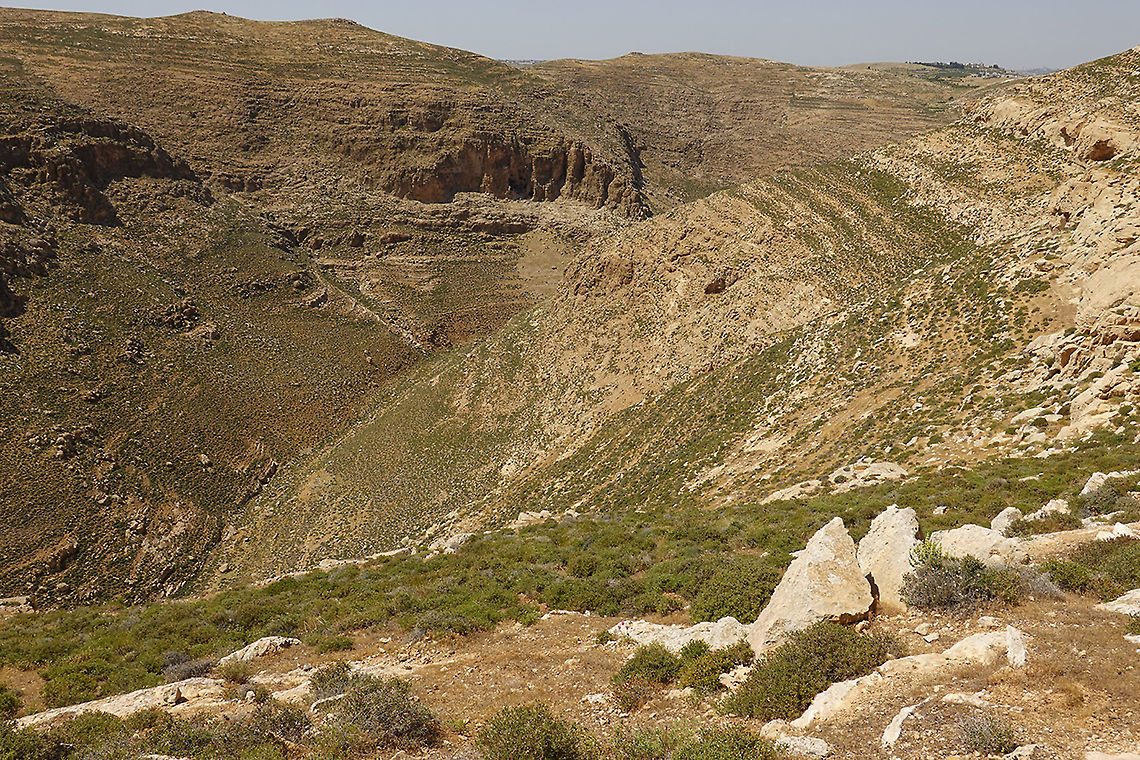 Sarcopoterium spinosum  Geotagged,Sarcopoterium spinosum,Spring