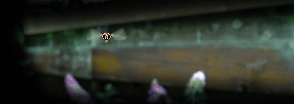 Say cheese! We colled it a hover wasp.<br />
Photo was taken in the bag garden with the old Fuji CoolPix S304.<br />
It was not easy to focus, it was also a bit off luck i think. Geotagged,The Netherlands