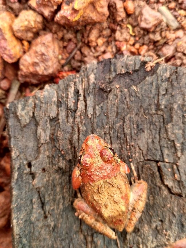 IMG_20180608_101558_HDR