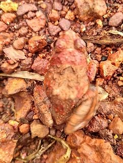 IMG_20180608_101435_HDR