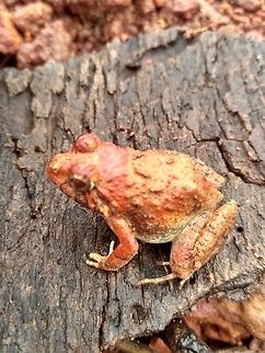 IMG_20180608_101550_HDR