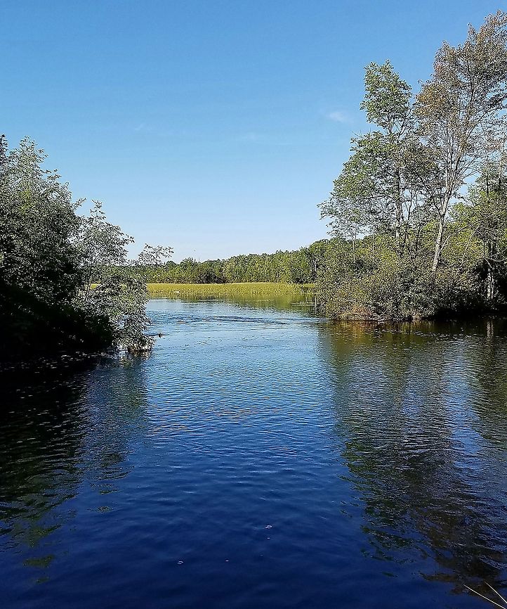 Moose Horn River Riparian vegetation and a deep water marsh with wild rice and other reed-like plants. The Moose Horn River is one of many small Minnesota rivers that are tributaries to the Mississippi River. Geotagged,Summer,United States,landscape,marsh,river,water,watershed