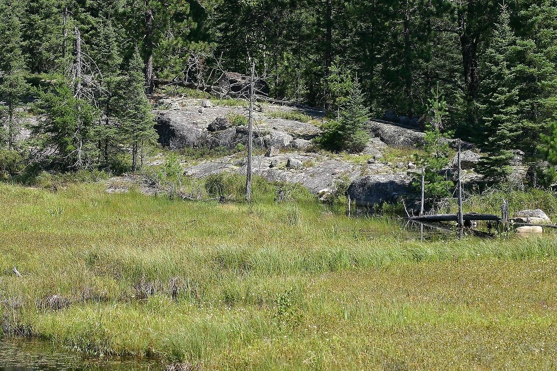 Rock Outcrop and Floating Peat Mat The floating peat mat was formed and is maintained by a very old beaver dam that restricts the flow on a small stream flowing between the outcrop and a steep cliff. There are probably many interesting fen or peatland plants on the mat but it is next to impossible to get to as it is completely surrounded by deep water. Geotagged,Minnesota,Summer,United States,beaver dam,floating mat,peat mat,rock out crop,vegetation mat