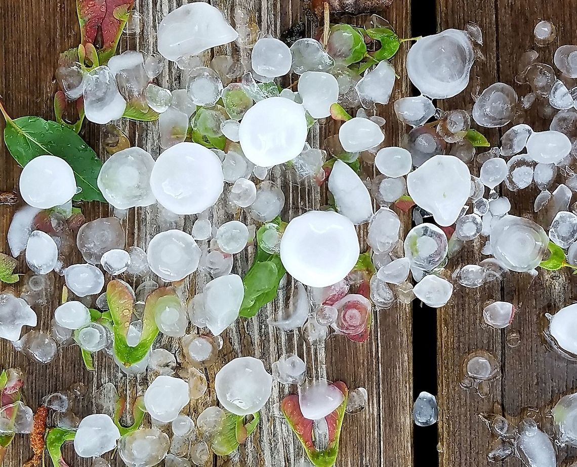 Hail After a hailstorm last June. Geotagged,Minnesota,Natural events,Summer,United States,hail,weather