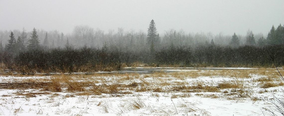 Snowstorm April 16, 2014 Snowstorm April 16, 2014<br />
<br />
<figure class="photo"><a href="https://www.jungledragon.com/image/75148/the_day_after_the_april_16th_snowstorm.html" title="The day after the April 16th snowstorm"><img src="https://s3.amazonaws.com/media.jungledragon.com/images/3383/75148_thumb.jpg?AWSAccessKeyId=05GMT0V3GWVNE7GGM1R2&Expires=1769040010&Signature=82OIKZTW40NMBj8xVUmMNZBV%2Bl4%3D" width="200" height="122" alt="The day after the April 16th snowstorm This is how a part of my woods looked after about 10 inches of snow fell the previous day. A bit unusual for this much snow in spring. Before the snowfall, all of the winter's snow had melted and the ground was clear.<br />
<br />
Most of the trees are balsam fir (Abies balsamea) and a few balsam poplars (Populus balsamnifera). Geotagged,Minnesota,Spring,United States,forest,snow,trees,winter comes back" /></a></figure> Geotagged,Minnesota,Spring,United States,flood,snow,weather,wetlands,winter comes back