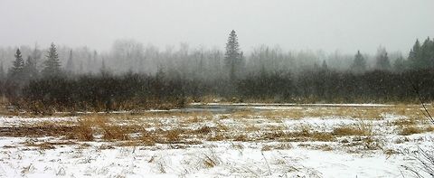 Snowstorm April 16, 2014 Snowstorm April 16, 2014

https://www.jungledragon.com/image/75148/the_day_after_the_april_16th_snowstorm.html Geotagged,Minnesota,Spring,United States,flood,snow,weather,wetlands,winter comes back