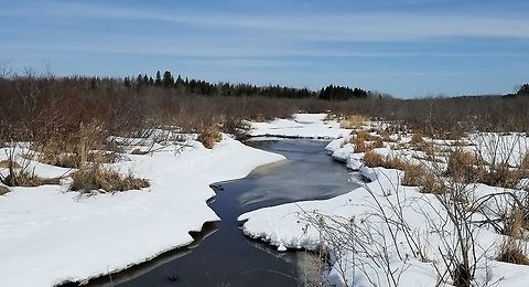 Spring thaw Spring thaw with a small stream that remained partially open all winter. Geotagged,Spring,United States,snow,spring,stream,thaw,water,weather