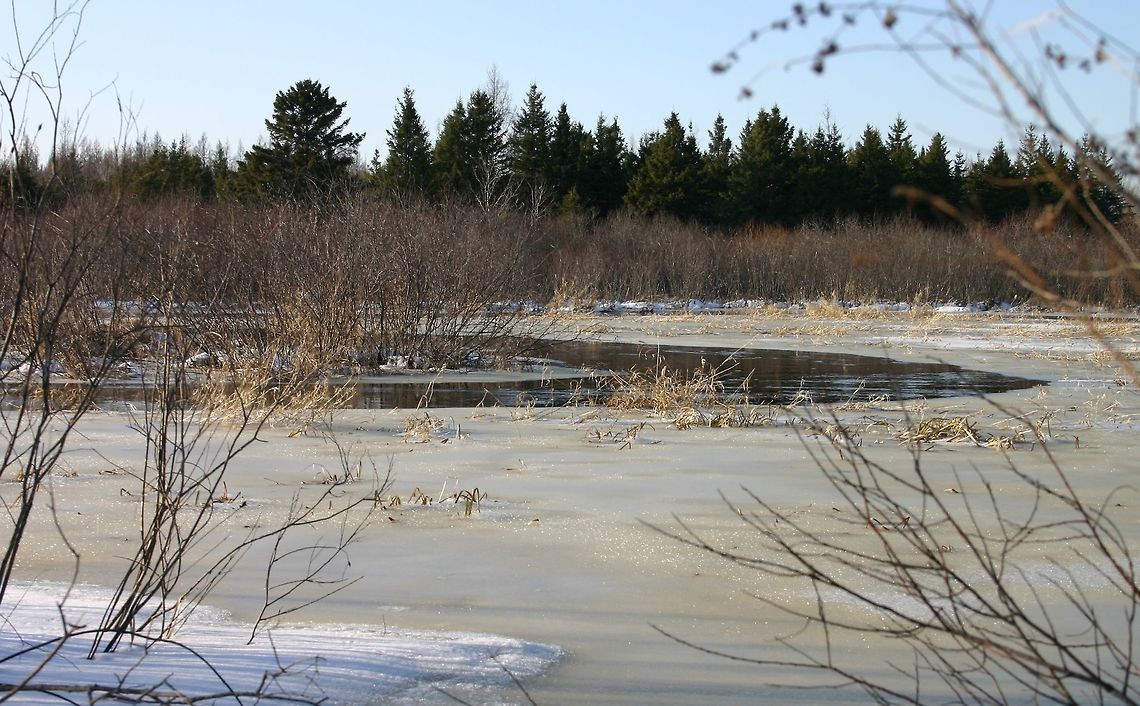 Flooding (2014) Spring flood beginning. In a few days it may look like this again. Geotagged,Spring,United States,Weather,snow,spring,spring flood,stream,water