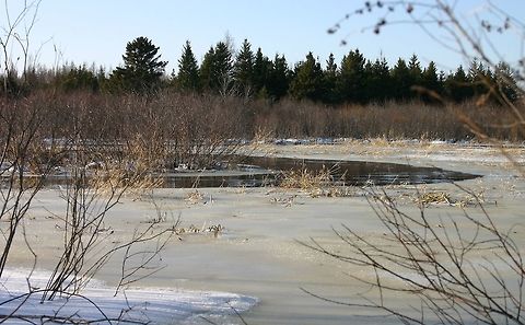 Flooding (2014) Spring flood beginning. In a few days it may look like this again. Geotagged,Spring,United States,Weather,snow,spring,spring flood,stream,water