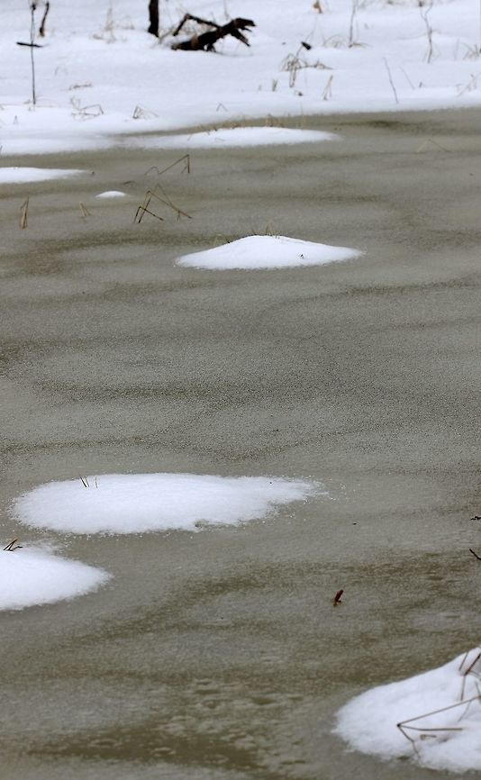 Vernal Pond Vernal pond still waiting for spring. Geotagged,Spring,United States,Wetlands,ice,snow,spring,vernal pond