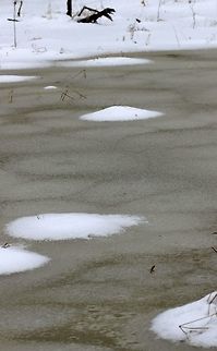 Vernal Pond Vernal pond still waiting for spring. Geotagged,Spring,United States,Wetlands,ice,snow,spring,vernal pond