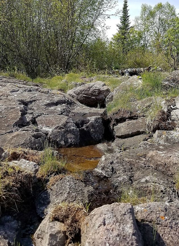Lake Superior Shore Rock outcrop of basalt with a splash pool (this one also receives water from seepages through fractures in the bedrock).  There are patches of Trichophorum cespitosum (Tufted Bulrush) in the foreground and background. The forest further back is a wet forest with Paper Birch (Betula papyrifera), White Spruce (Picea glauca), Balsam Fir (Abies balsamea), and Tag Alder (Alnus rugosa). Geotagged,Lake Superior,Spring,Trichophorum cespitosum,Tufted Bulrush,United States,rocks,splash pool,water