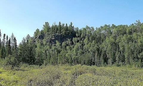Rock outcrop rising above a shrub carr An outcrop of a dark igneous rock (gabbro? basalt?) forested on its summit with White Pine (Pinus strobus) and Balsam Fir (Abies balsamea). Quaking Aspen (Populus tremuloides) is near the base and on the lower portions of the outcrop. In the foreground is a peatland that is densely covered with Sweet Gale (Myrica gale) a fragrant shrub. A stream (Ninemile Creek) flows throught the peatland. The summit's elevation is about 1,000 feet (~304 meters) above the level of Lake Superior which is 7.3 (~12 km) miles away. Geotagged,Summer,United States,forest,landscape,outcrop,peatland,pine