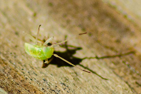 DSC_6603  Geotagged,Spring,United States