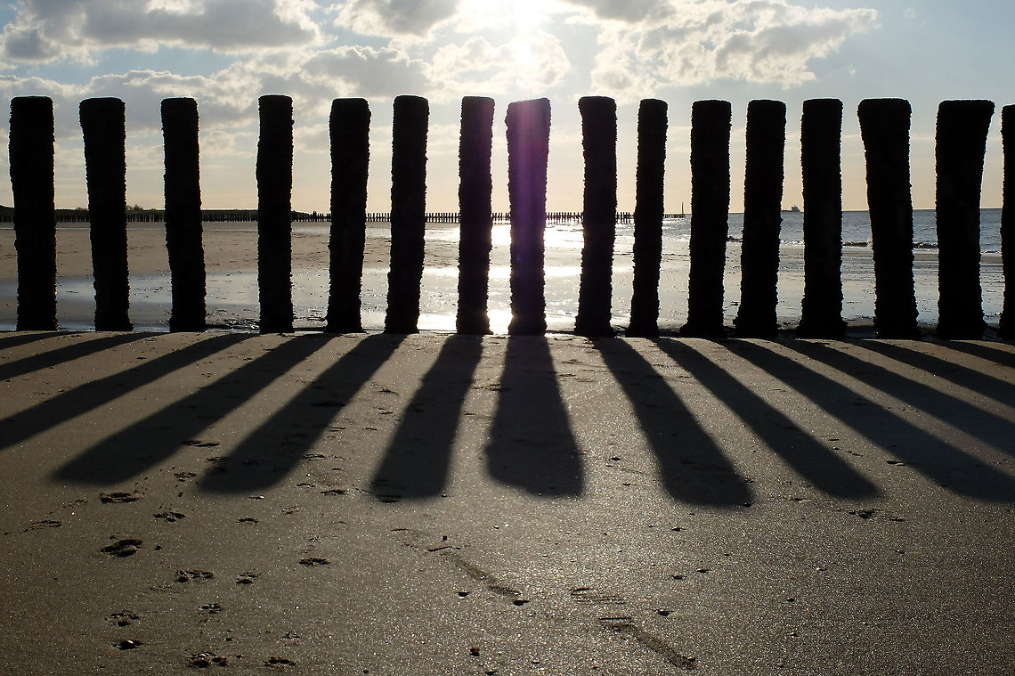 Groynes on the beach  Breskens,Geotagged,The Netherlands