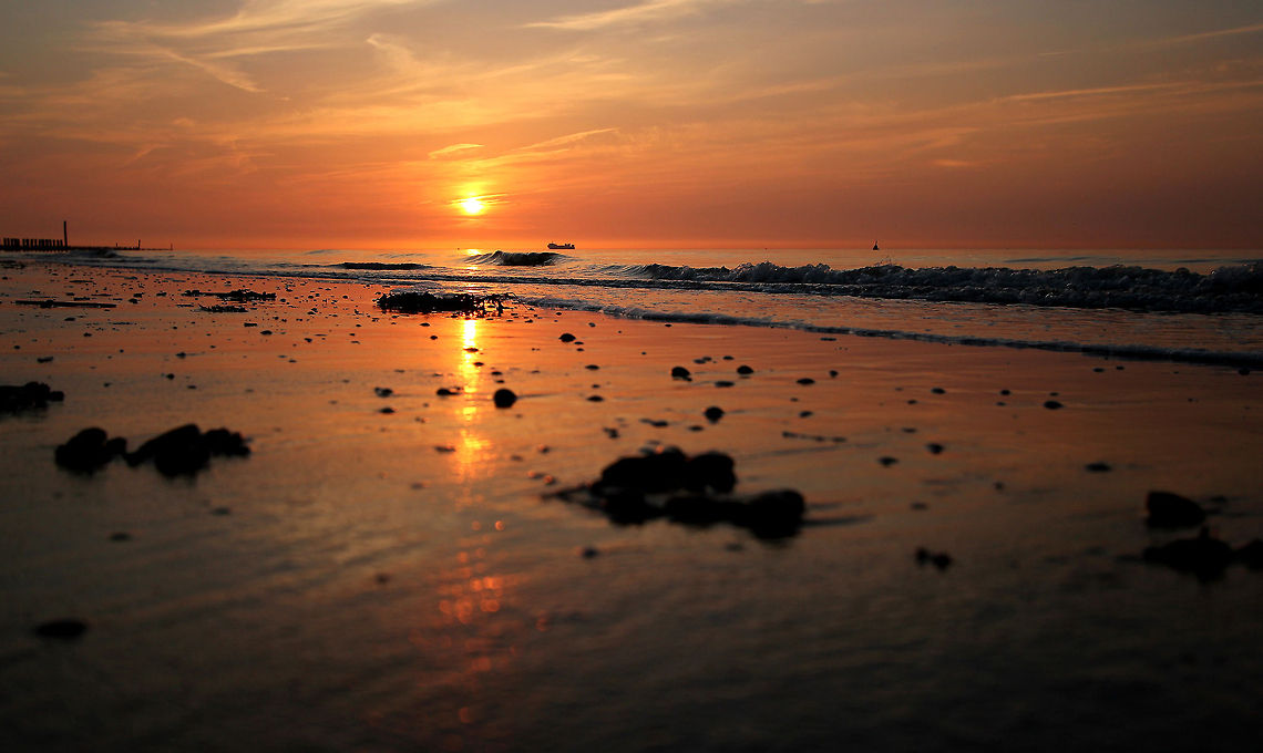 Sunset at Westerschelde  Geotagged,The Netherlands