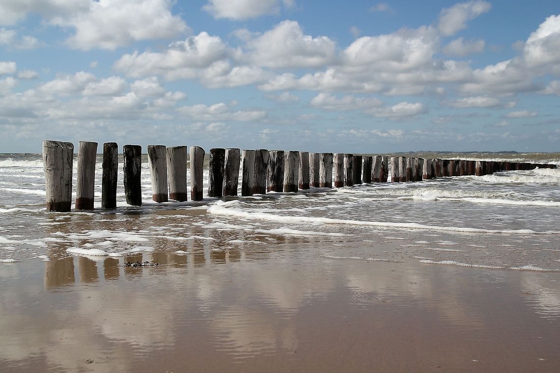 Groynes at the Dutch beach  Geotagged,The Netherlands