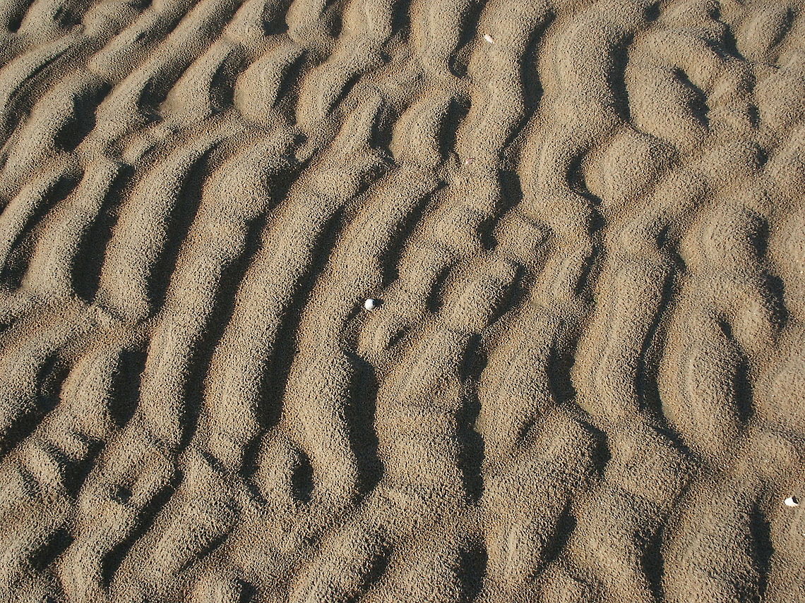 Patterns in the sand  Geotagged,The Netherlands
