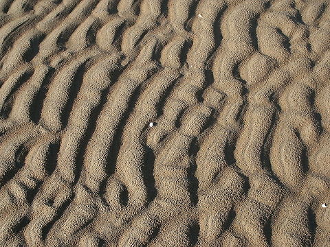 Patterns in the sand  Geotagged,The Netherlands