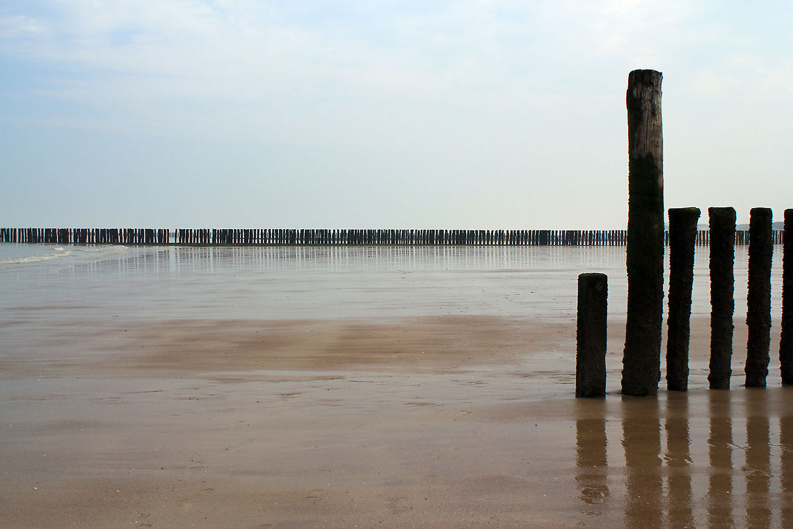Groynes on the beach  Geotagged,Netherlands,Spring