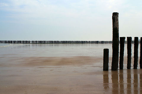 Groynes on the beach  Geotagged,Netherlands,Spring