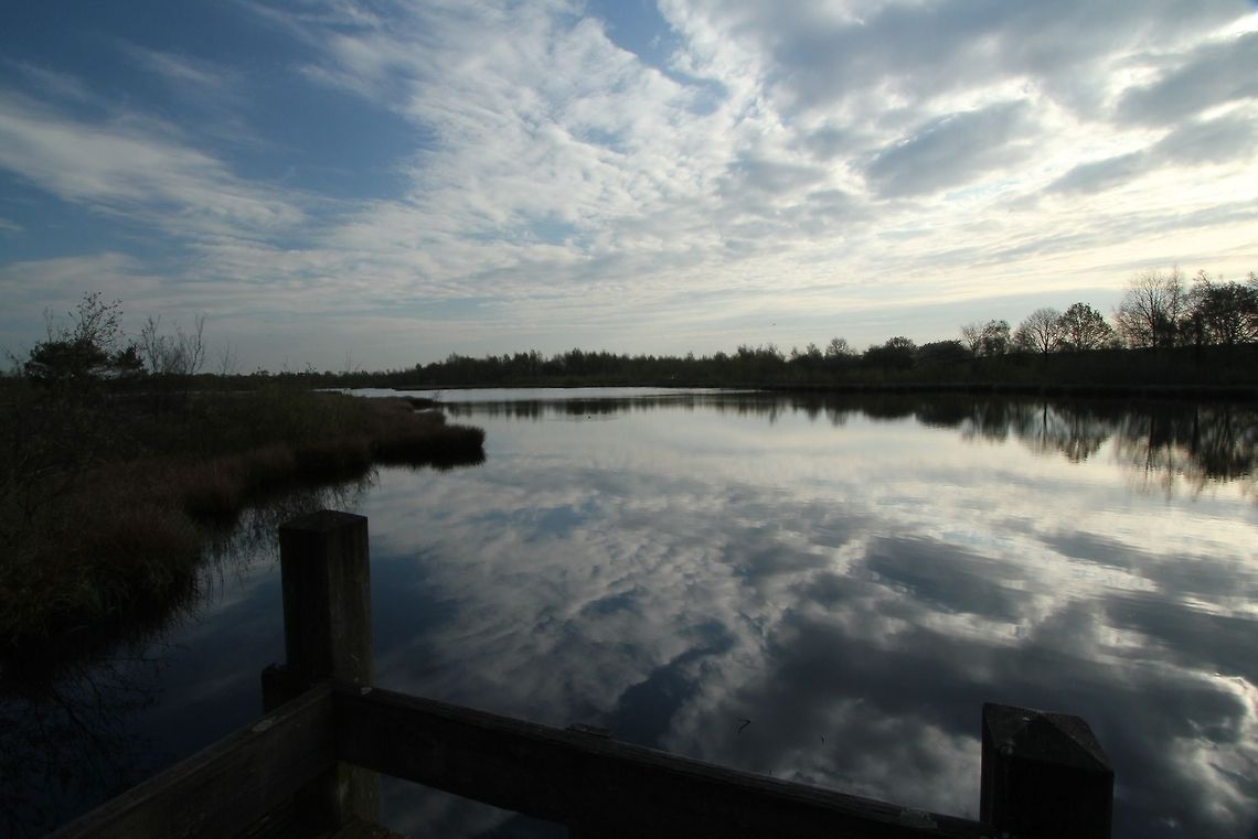 Clouds reflection National Park Groote Peel Geotagged,Groote Peel,National Park,The Netherlands