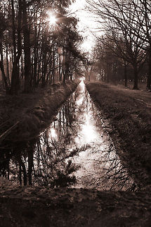 Weerterbossen  Geotagged,The Netherlands