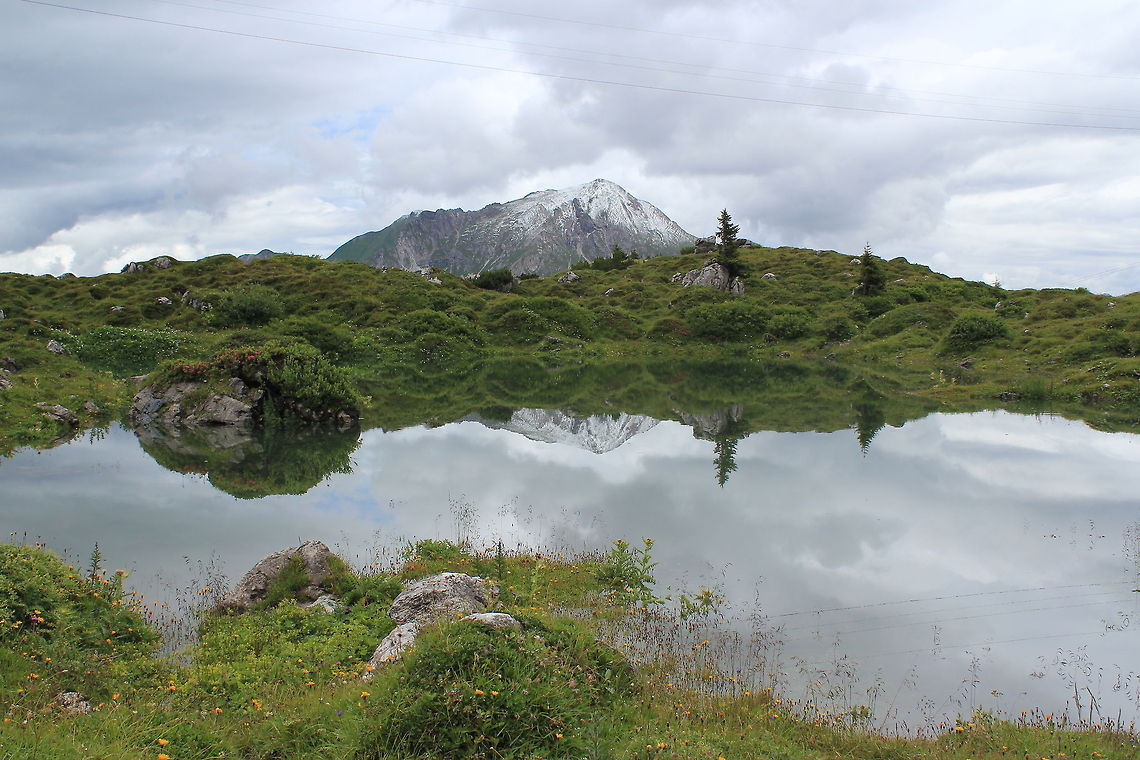 Reflection in mountain lake  Austria,Geotagged