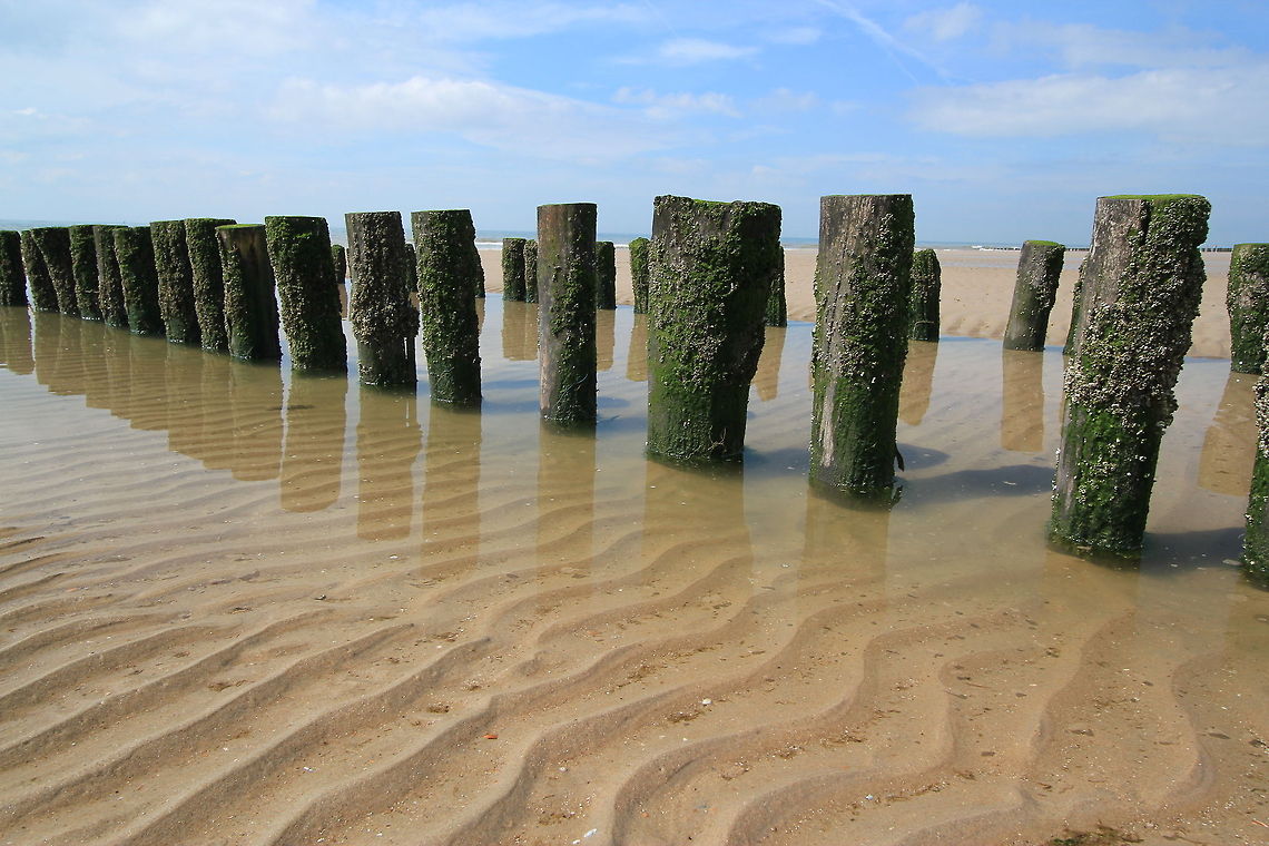 Groynes on the beach Zoutelande, Netherlands Geotagged,The Netherlands