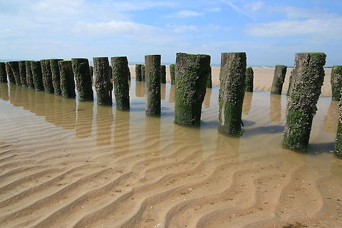 Groynes on the beach Zoutelande, Netherlands Geotagged,The Netherlands