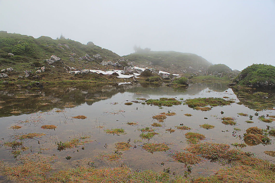 Walking in the clouds  Austria,Geotagged