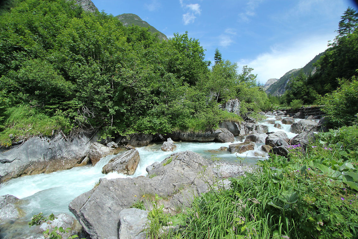 Mountain stream  Austria,Geotagged,Landscapes,Lechtal