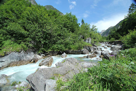 Mountain stream  Austria,Geotagged,Landscapes,Lechtal