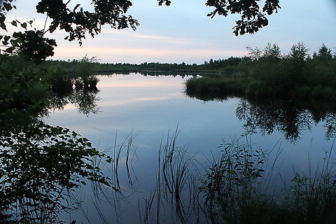 Sunset at National Park Groote Peel  De Groote Peel National Park,Geotagged,The Netherlands